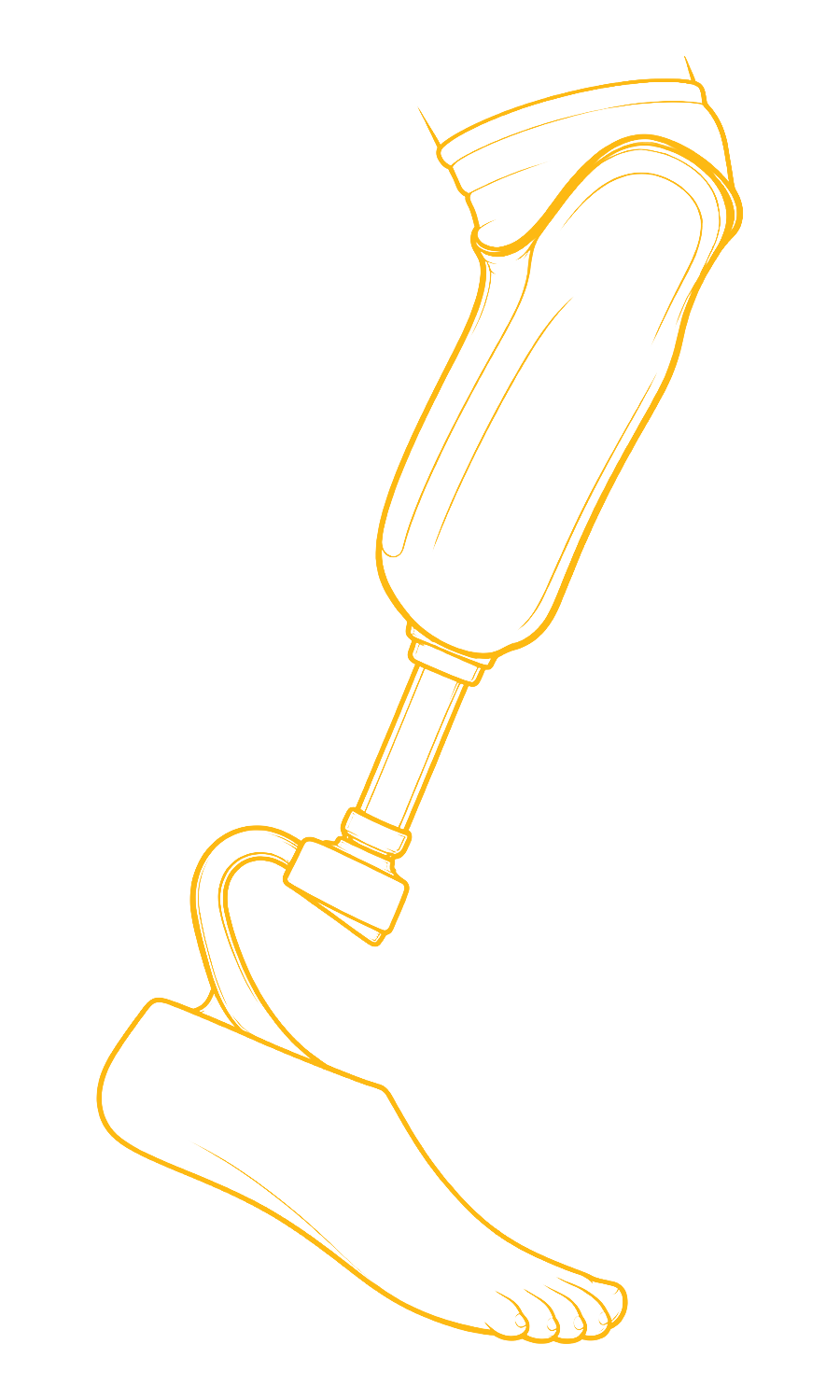 Below_Knee_Sketch