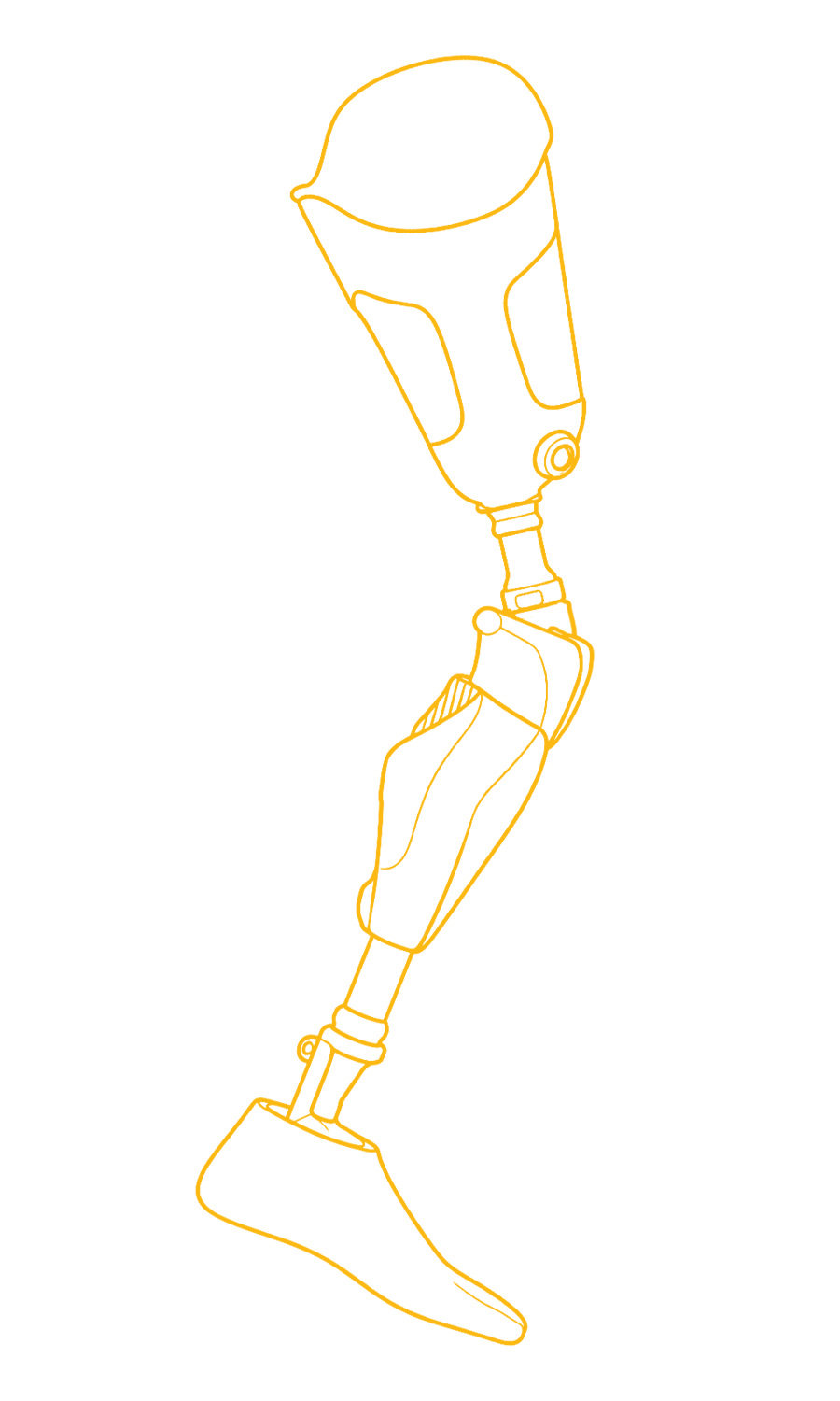 above_knee_Sketch
