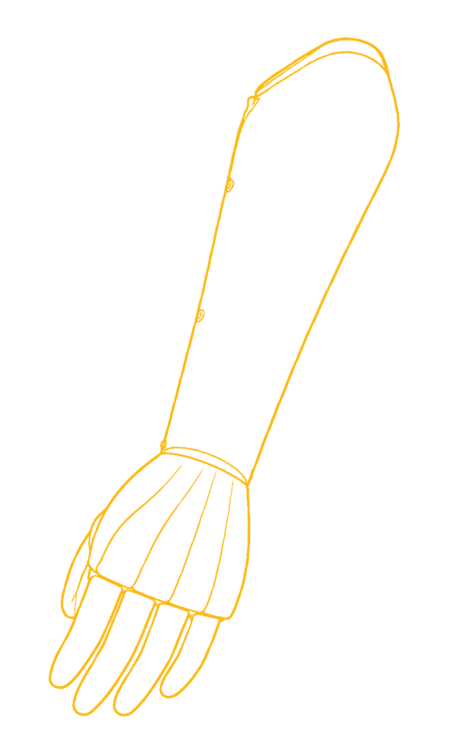 upper_limb_sketch